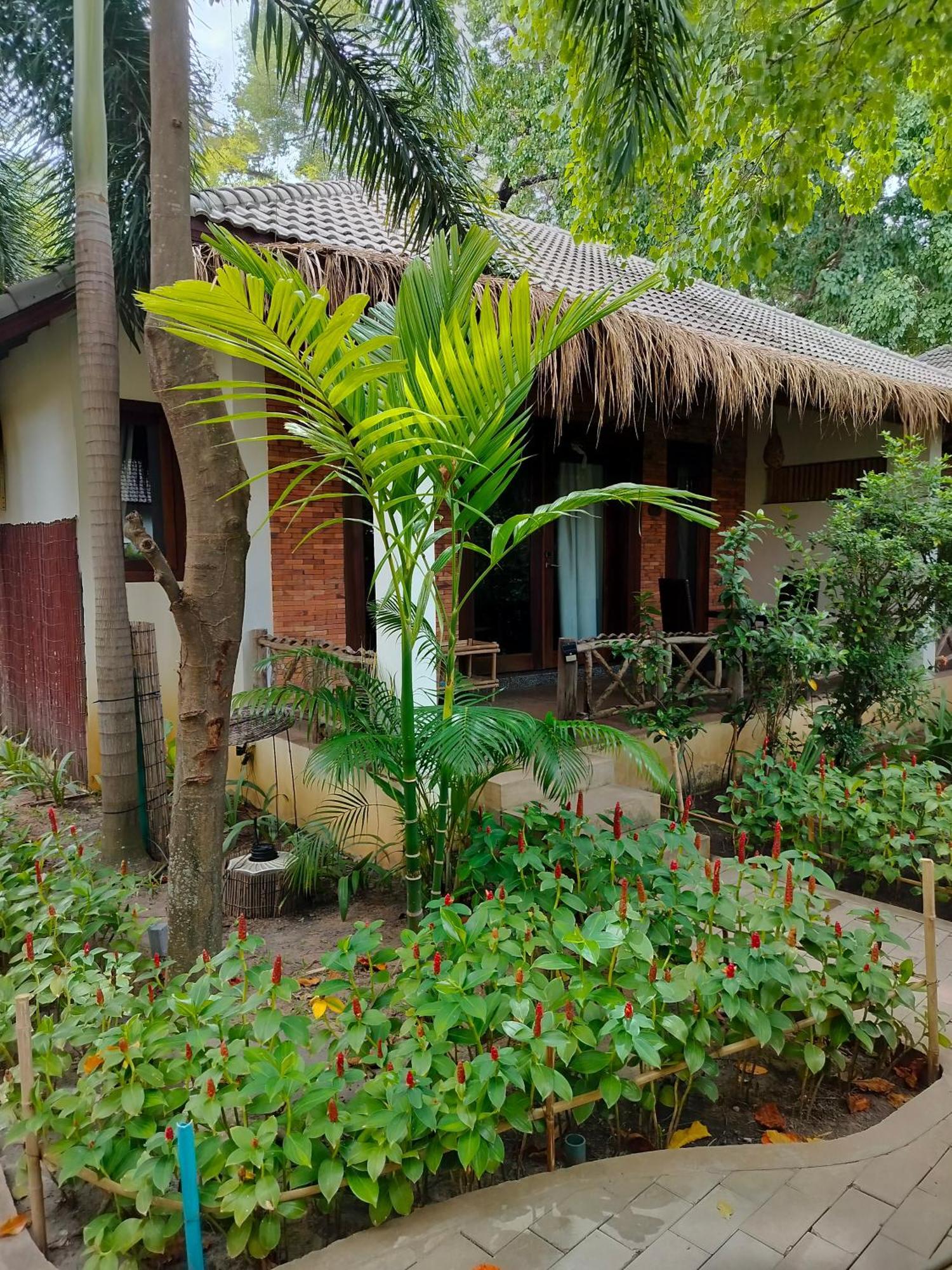La Riviere D' Angkor Resort Siem Reap Exterior photo