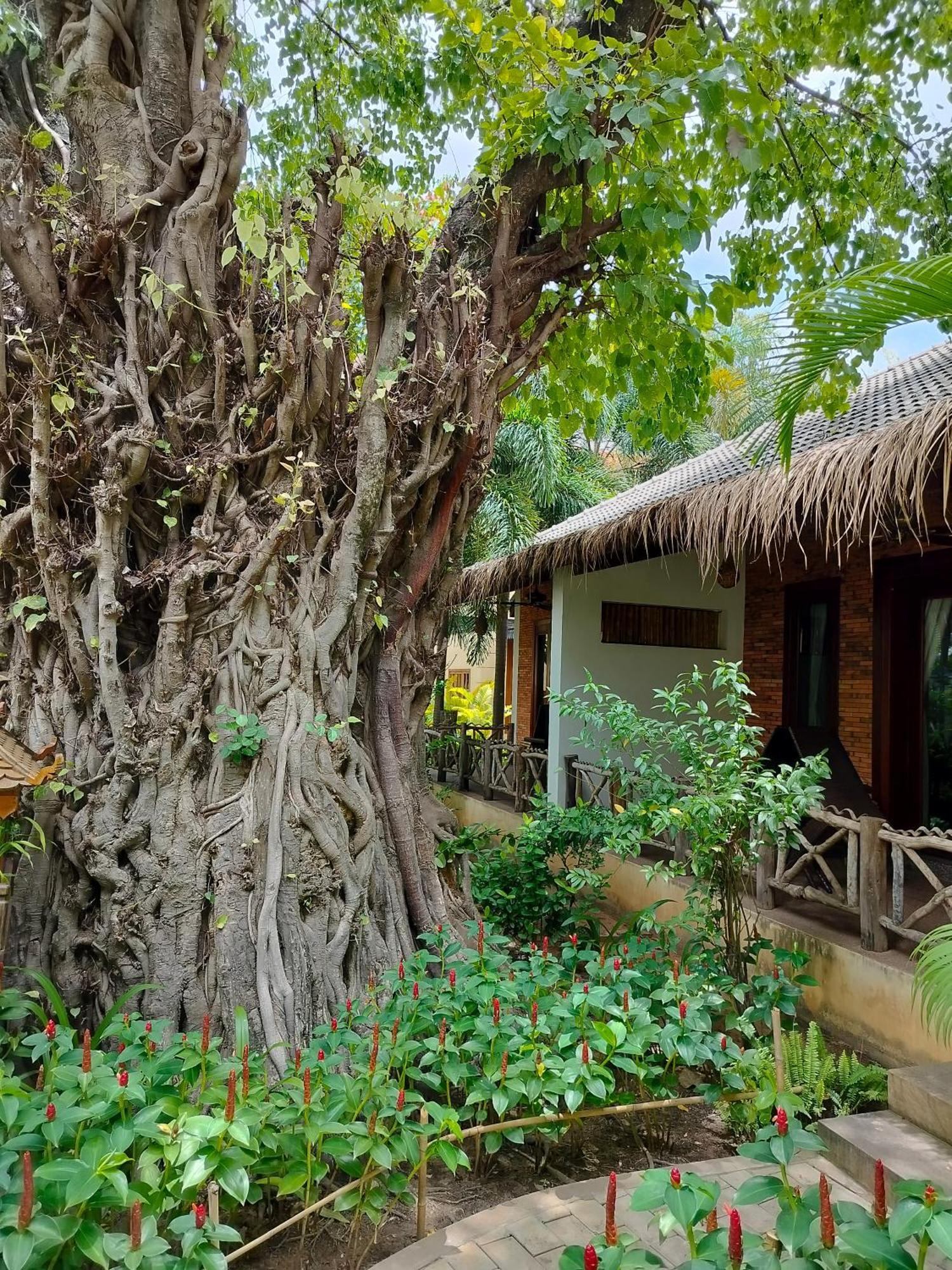 La Riviere D' Angkor Resort Siem Reap Exterior photo